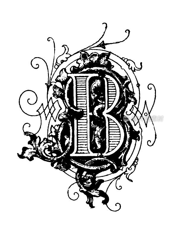 字体装饰|字母B